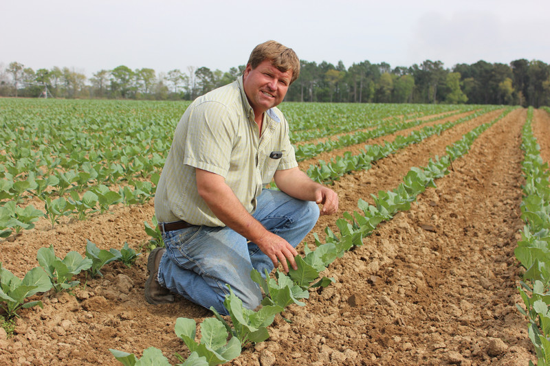 With nearly 10 million acres of productive farming, Georgia is an agricultural powerhouse. Ag is a $73 billion industry.