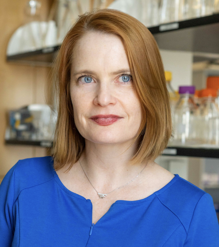  Debra  Bangasser, Ph.D.