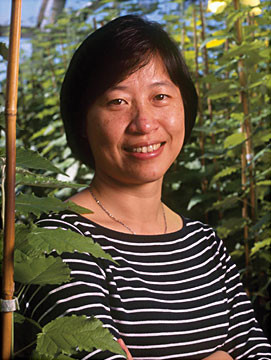  Chung-Jui (C.J.)  Tsai, Ph.D.